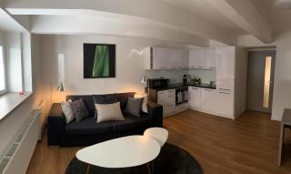AP 1 - Apartments 4U Březinova "Overnight Simply" - Hradec Králové - 9