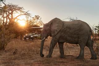 Victoria Falls River Lodge - Victoria Falls - 5