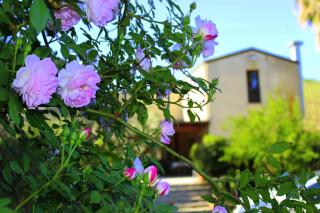 Agriturismo Tarantola - Alcamo - 6