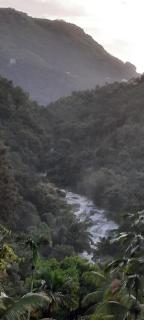 Linn View Home Stay Munnar - Munnar - 6