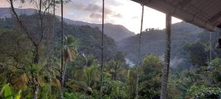 Linn View Home Stay Munnar - Munnar - 5