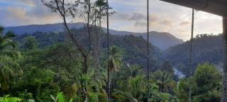Linn View Home Stay Munnar - Munnar - 4