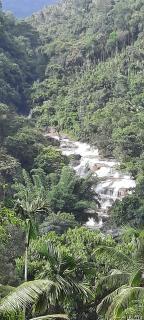 Linn View Home Stay Munnar - 3