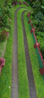 Linn View Home Stay Munnar - Munnar - 2