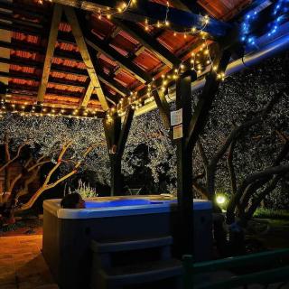 Holiday House Cvita - Biograd na Moru - 3