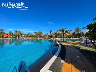 Tamarindo Blumarine - pool & wifi free 4 persons - Corralejo - 6