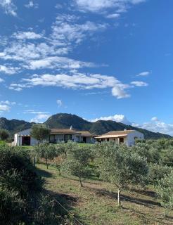 Macciuneddu Country Retreat - Golfo Aranci - 0