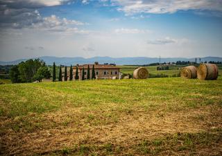 Borgo Solario - Castiglione del Lago - 3