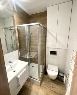 APARTAMENTY SOKOLA blisko Szpital im M Kopernika, Orientarium ZOO, Atlas Arena, EC1, Mandoria - Łódź - 6