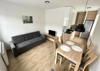 APARTAMENTY SOKOLA blisko Szpital im M Kopernika, Orientarium ZOO, Atlas Arena, EC1, Mandoria - Łódź - 2