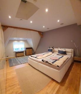 Hochwertiges Penthaus mit großer Dachterrasse in ruhiger Stadtlage - 0