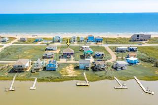 Purple Paradise - Freeport - 6