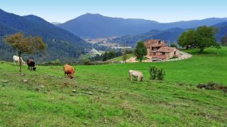 El Guitart - Turisme Rural - Ripoll - 6