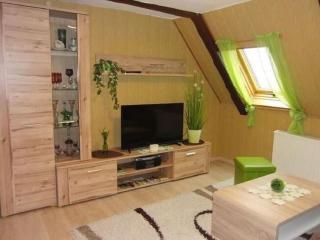 Charming flat in Sebnitz with garden - Lichtenhain - 9