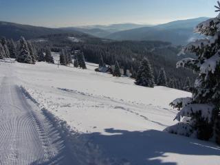Berghof - horská chata - Pec pod Sněžkou - 2