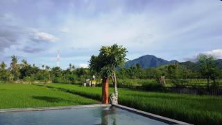 Umma Bali Menjangan Retreat - Banyuwedang - 0