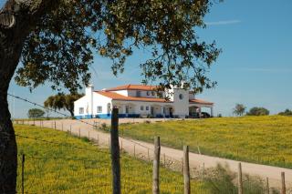 Herdade Dos Barros - Terena - 7