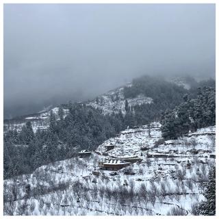 Nirvana Homes Rarta - 2