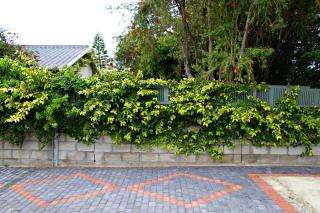 Katinka Self-Catering - 4