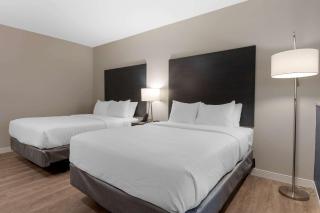 Comfort Suites Cincinnati University - Downtown - Cincinnati - 3