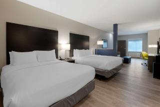 Comfort Suites Cincinnati University - Downtown - Cincinnati - 4