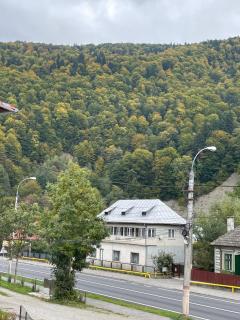 Vila Casa Ta - Sinaia - 8