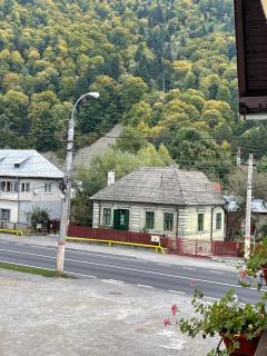 Vila Casa Ta - Sinaia - 4