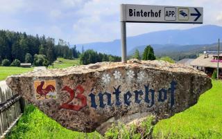 Binterhof ROSALPINA APP - Castelrotto - 7