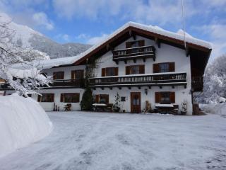 Ferienwohnungen Auhaus - 1