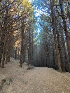 Fazenda Rodeio Bonito - 3