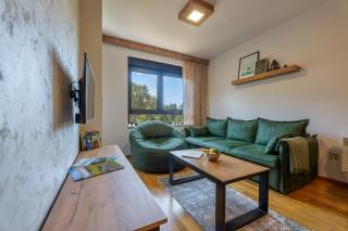 Stevovic Apartment, Pine Wood View, Zlatibor - Zlatibor - 7