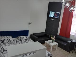 SouvenirAppart Wilenska - Bydgoszcz - 3