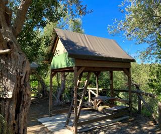 Hostel & Glamping Santa Fortunata - Sorrento - 2