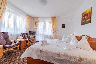 Pensiunea turistica Andra - Predeal - 9