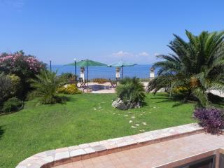Albergo Belvedere - Ventotene - 0