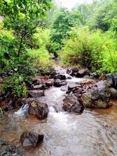 Weekend Villa at Nature's Lap (Malshej Ghat) - Ghātghar - 8