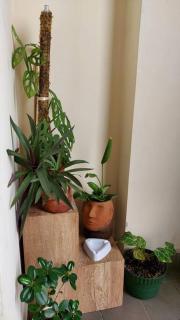 Apt Pejaten Park 1 BR Brown with Netflix, DisneyHot & Swimming Pool - Jacarta - 1