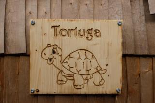 Tortuga - einfach anders! - 5