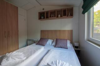 Iguana - Das Tiny Haus am Reptilienzoo Reptilium - 7