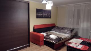 Apartament Elegant - Katowice - 7