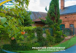 Bauernhof-Streichel-Zoo-KOMBI-Familien-Suite-im-Wald-am-See - Gulow - 9