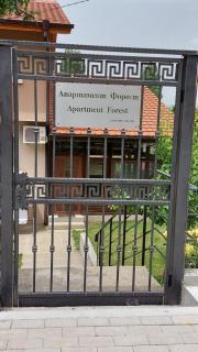 Forest Apartment - Sapareva Banya - 6