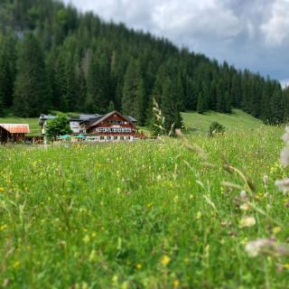 Alpenhotel DAS KÜREN - Hirschegg - 8