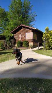 Cabañas Cultura Serrana - 5