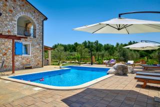 Relax house surrounded by olives and vineyard - Stifanići - 5