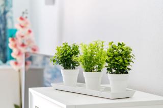 Apartment Eunice - 3