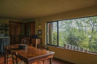 Studio/Flat Rustic Tuscan Marziani 2 - Capannori - 1