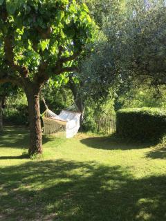 Les Olivettes le mazet - Uzès - 1