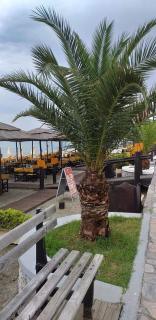 Oniro Rooms & Suites - 2