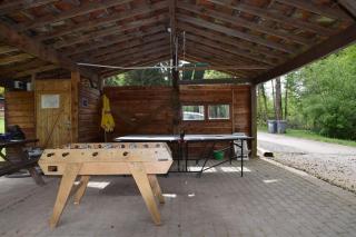 Vacance conviviales dans les Vosges 8 Gîtes - Ban-de-Sapt - 6